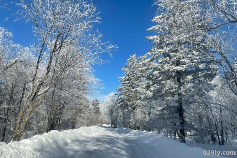 长白山冬天下雪吗