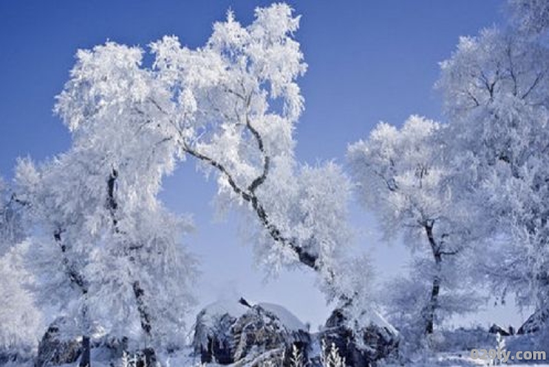 冬季看雪,吉林雾凇岛与雪乡哪里更合适