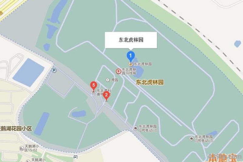 哈西大街去东北虎林园怎么走