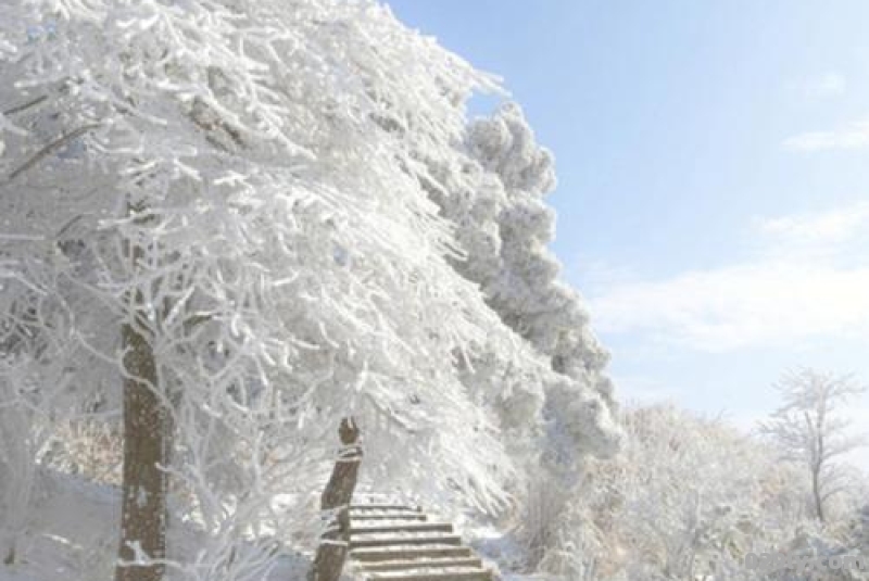 你知道国内有哪几个适合看雪的景点吗