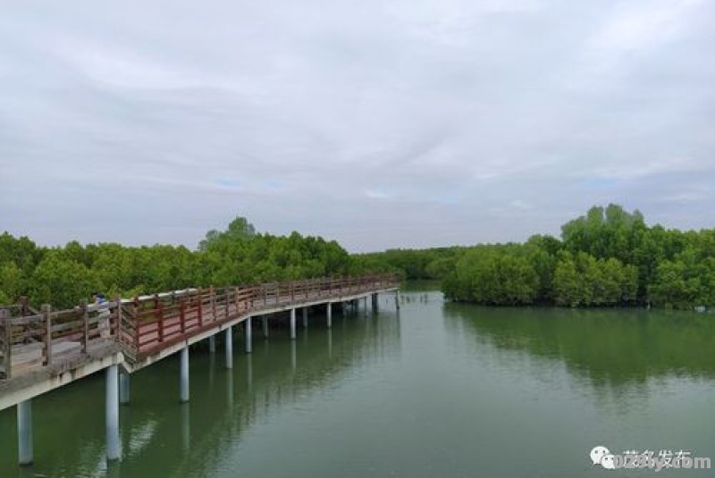 广东冬天旅游好去处