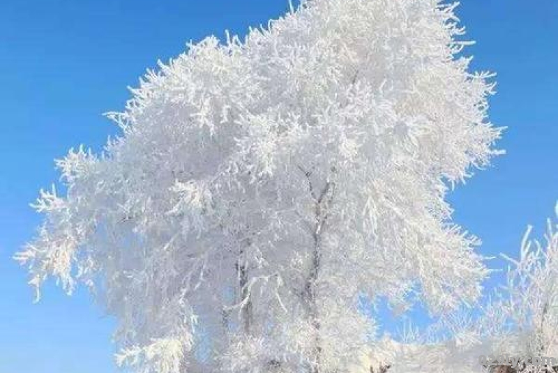 哪里有雪景看