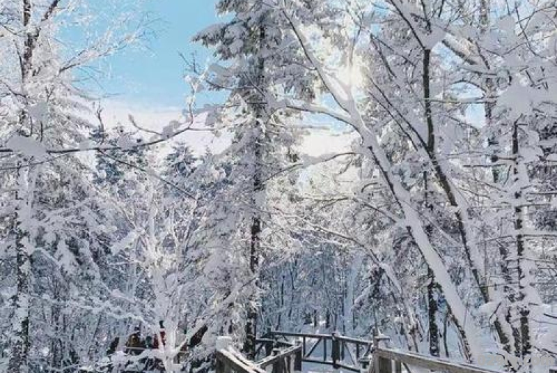 元旦去哪里看雪比较好全国这些地方都值得一去