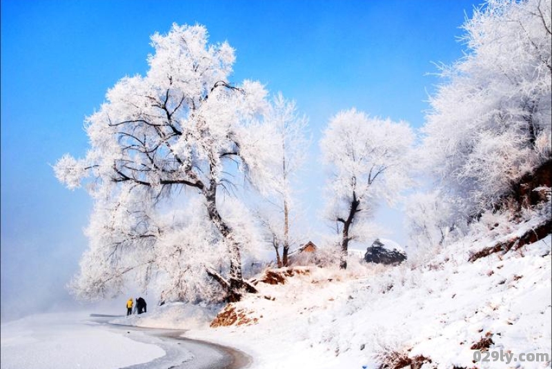 11月东北旅游攻略11月东北旅游最佳去处