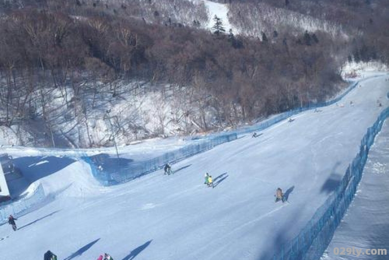 亚布力滑雪场在哪个城市