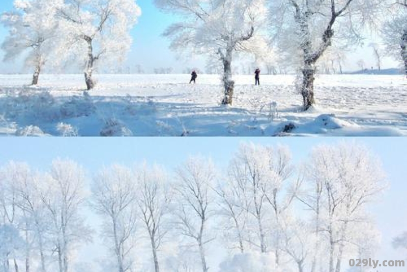 冬天去东北哪里旅游好