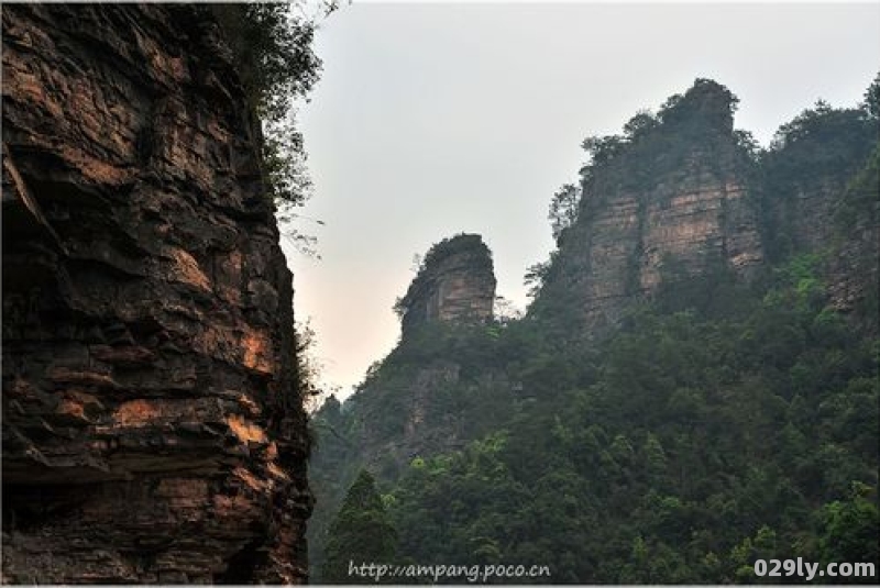 封开千层峰（封开千层峰杂志）