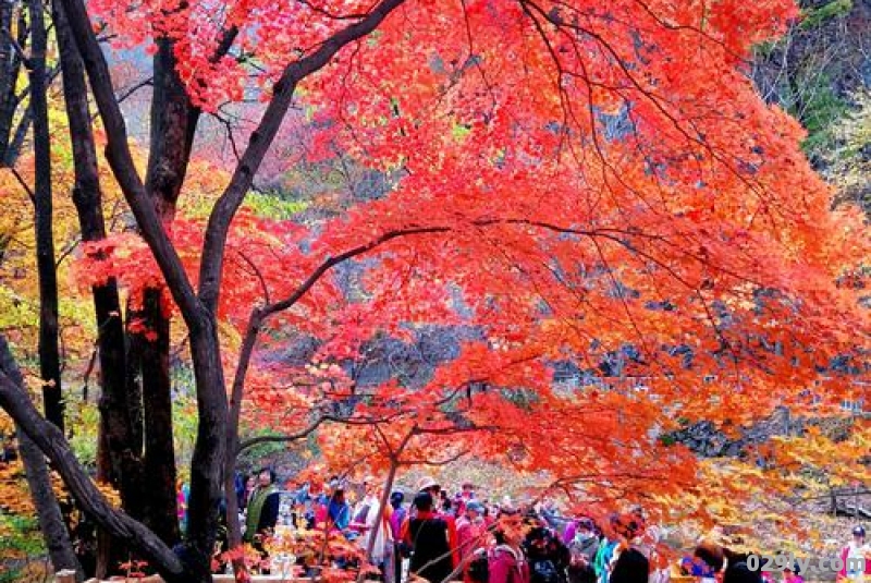 本溪关门山一日游（本溪关门山一日游游记）