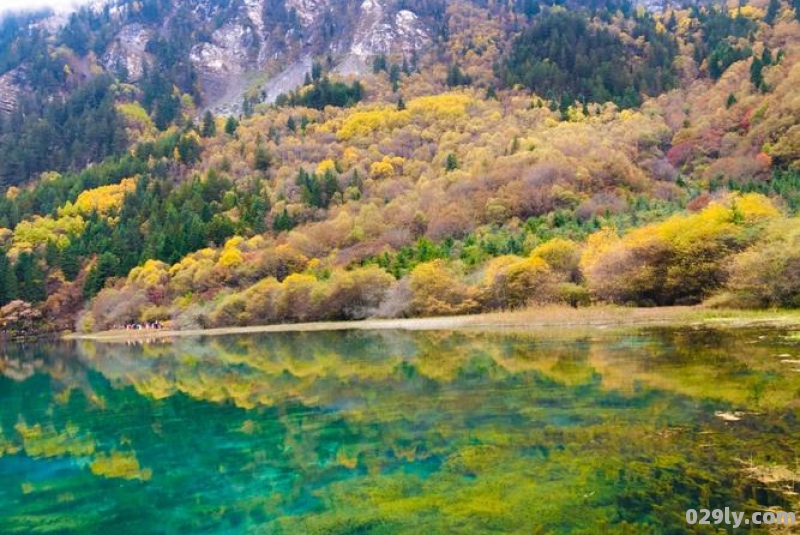 四川风景（四川风景图片）