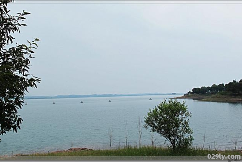 漳河水（漳河水库面积）