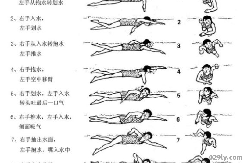 自由游（自由游泳的正确姿势视频教程）