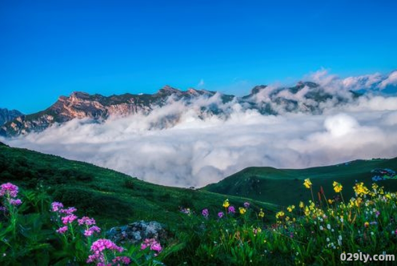 九顶山酒店（九顶山风景区门票多少钱）