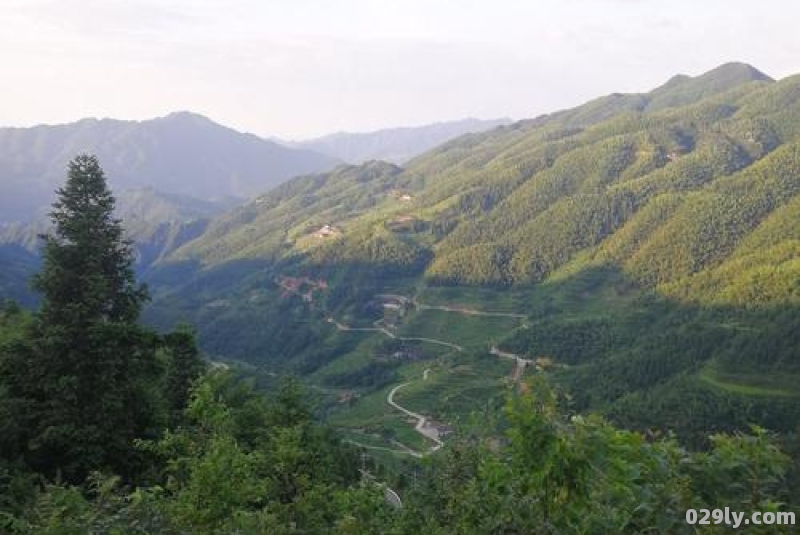 奉家酒店（奉家山在哪里）