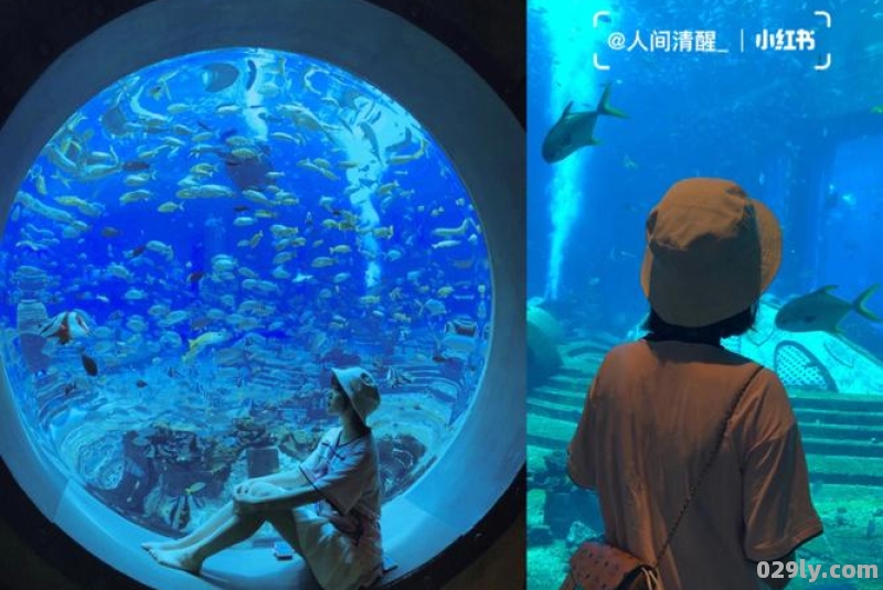 水族馆酒店（水族馆门店）