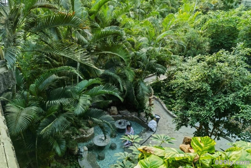 凤山温泉度假村（凤山温泉度假村温泉门票电话）