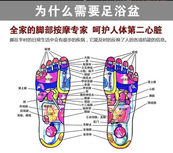 根浴的简单介绍