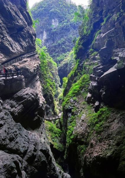 长沙到柳州的旅游团多少钱 长沙到柳州的旅游团多少钱一天