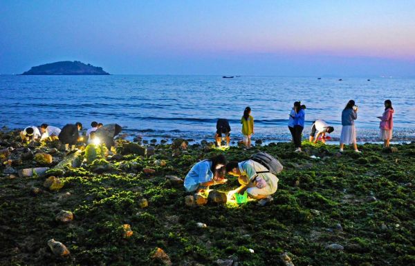 辽宁旅游团赶海多少钱 辽宁旅游团赶海多少钱一次