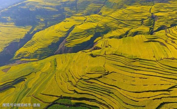 洛阳到廊坊旅游团报价多少钱 洛阳到廊坊旅游团报价多少钱啊