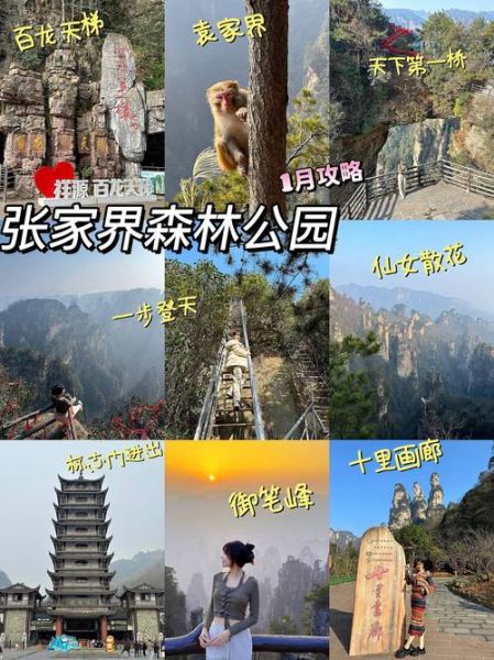 南阳旅游团多少钱 南阳旅游团哪个好