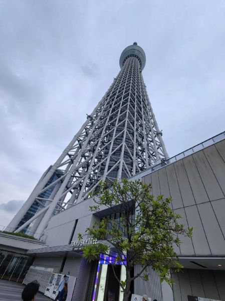 东京圣诞节旅游团多少钱 东京旅游团报价三日游