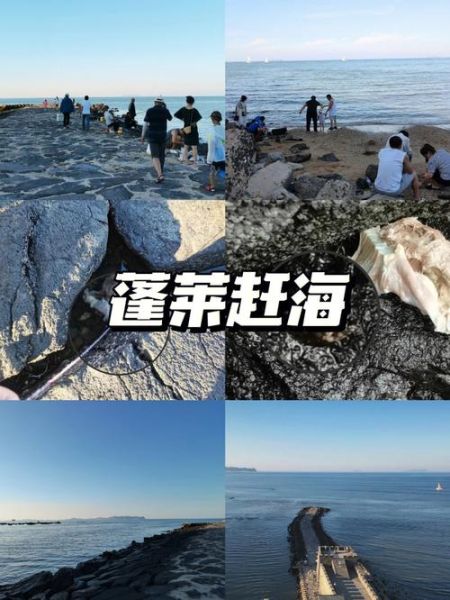 嘉兴赶海攻略旅游团多少钱 嘉兴哪里有海滩捉螃蟹