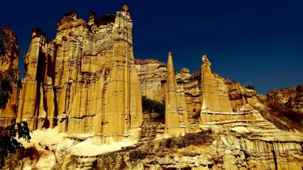 楚雄到元谋旅游团多少钱 楚雄到元谋旅游团多少钱一张票