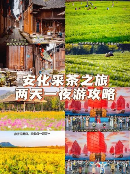 安化到长沙旅游团多少钱 安化旅游团哪家好