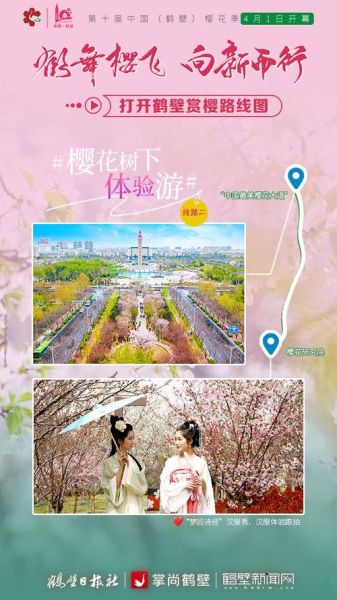 旅游团鹤壁樱花节多少钱 鹤壁樱花节具**置