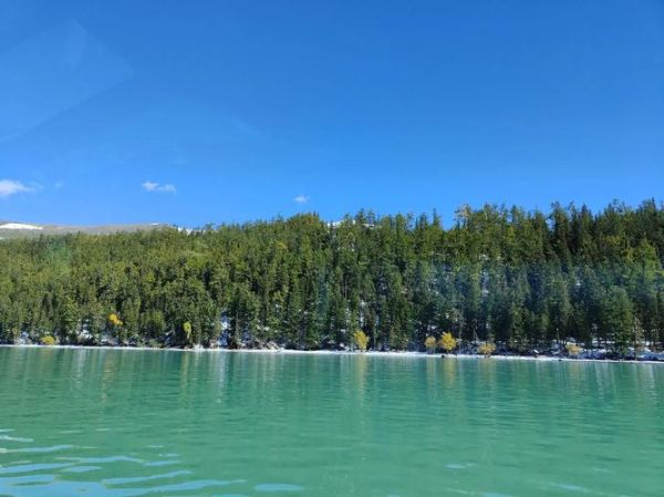 喀纳斯秋天旅游团多少钱 喀纳斯秋天旅游团多少钱一张票