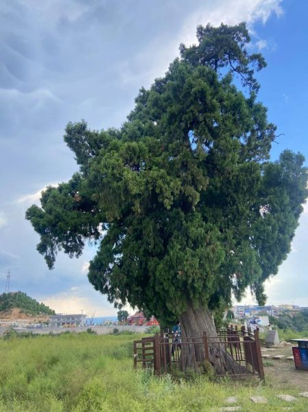 正觉寺旅游团多少钱 正觉寺活动