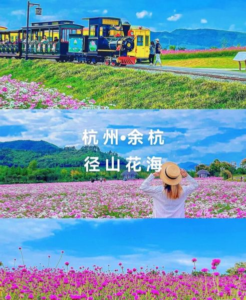 去花海旅游团多少钱 旅游花海线路