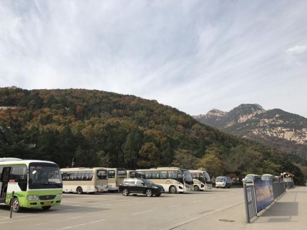 去泰山旅游团菏泽多少钱 去泰山旅游团菏泽多少钱啊 