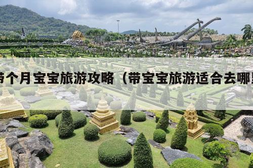 带个月宝宝旅游攻略（带宝宝旅游适合去哪里）