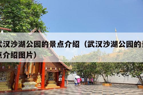 武汉沙湖公园的景点介绍（武汉沙湖公园的景点介绍图片）