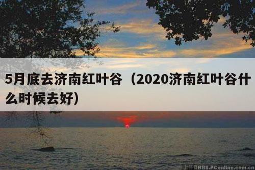 5月底去济南红叶谷（2020济南红叶谷什么时候去好）