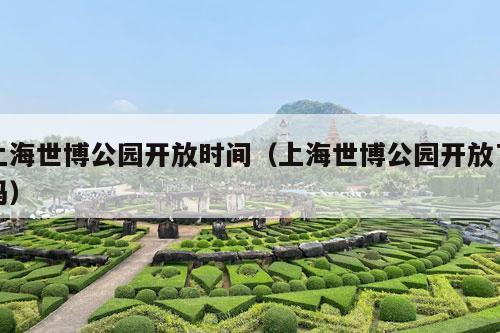 上海世博公园开放时间（上海世博公园开放了吗）