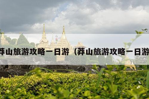 莽山旅游攻略一日游（莽山旅游攻略一日游）