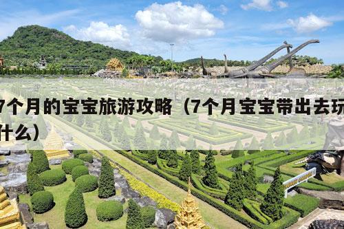 7个月的宝宝旅游攻略（7个月宝宝带出去玩什么）