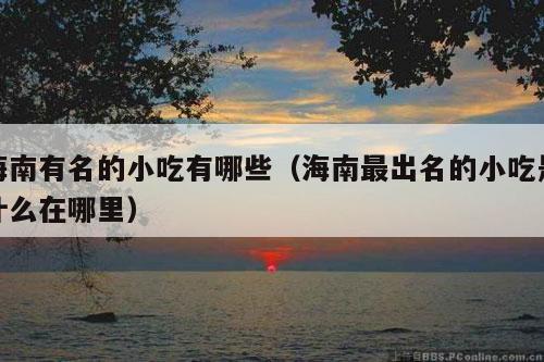 海南有名的小吃有哪些（海南最出名的小吃是什么在哪里）