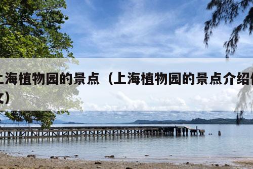 上海植物园的景点（上海植物园的景点介绍作文）