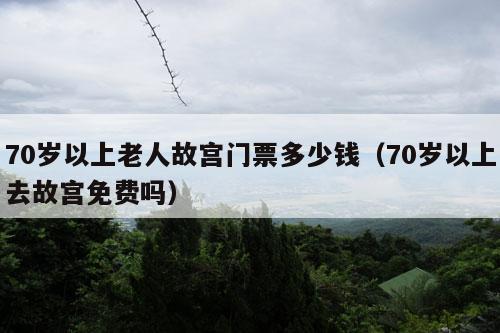 70岁以上老人故宫门票多少钱（70岁以上去故宫免费吗）