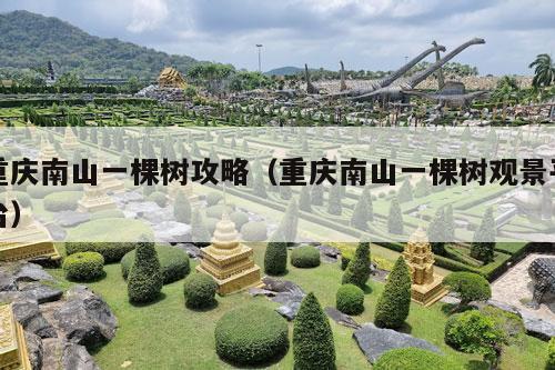 重庆南山一棵树攻略（重庆南山一棵树观景平台）