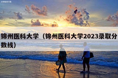 锦州医科大学（锦州医科大学2023录取分数线）