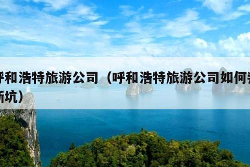 呼和浩特旅游公司（呼和浩特旅游公司如何判断坑）