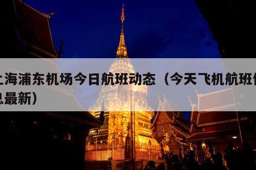 上海浦东机场今日航班动态（今天飞机航班信息最新）