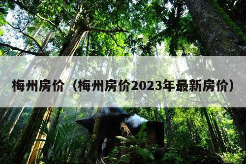 梅州房价（梅州房价2023年最新房价）