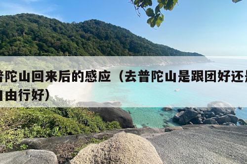 普陀山回来后的感应（去普陀山是跟团好还是自由行好）