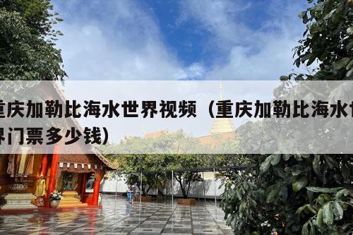 重庆加勒比海水世界视频（重庆加勒比海水世界门票多少钱）