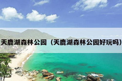 天鹿湖森林公园（天鹿湖森林公园好玩吗）